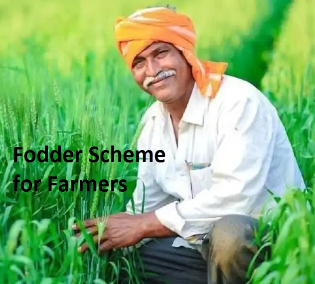 fodder scheme